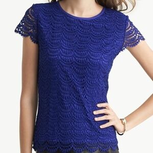 Banana Republic Royal Blue Lace Blouse